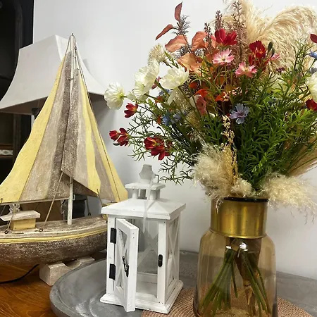 宾馆 Barco 阿利坎特